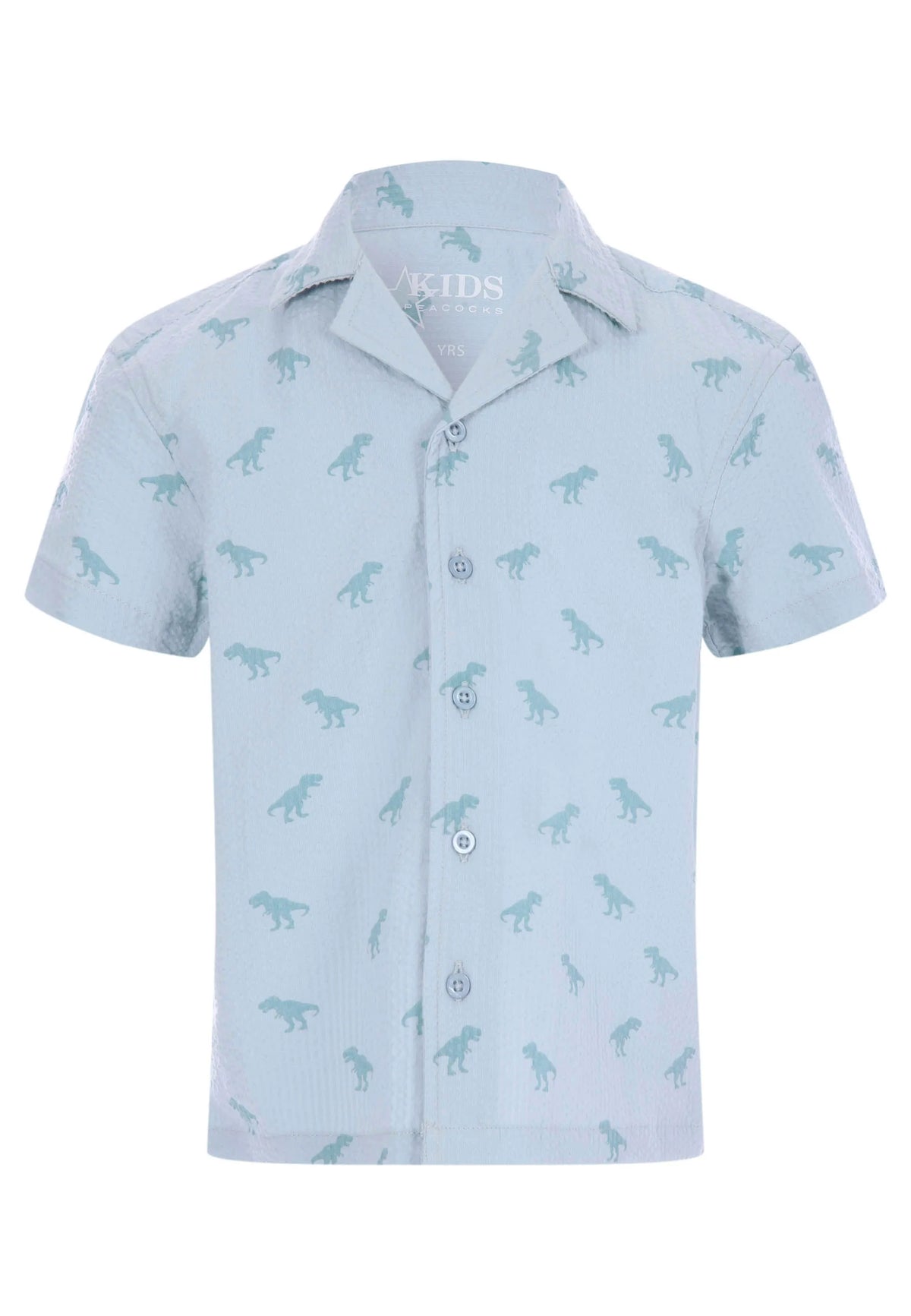 Younger Boys Blue Cotton Dinosaur Shirt