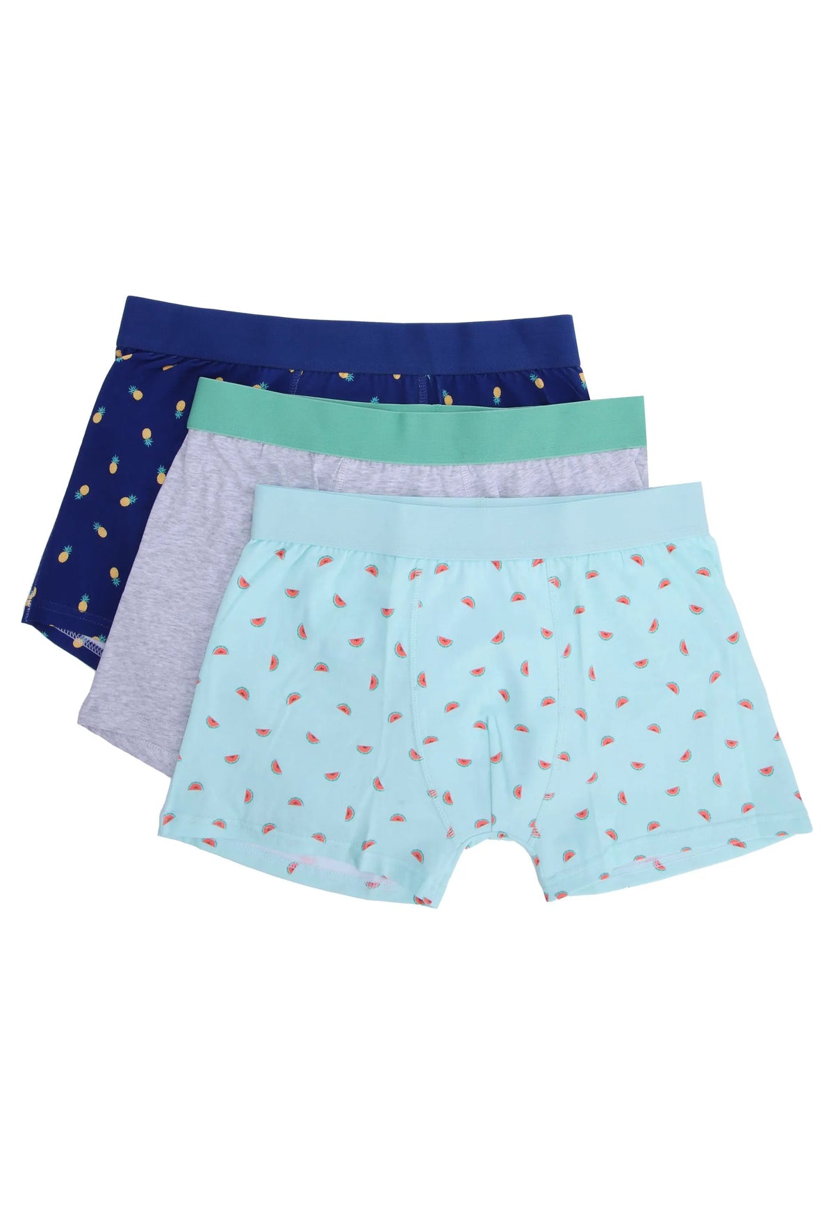 Mens 3pk Blue Watermelon Hipster Trunks
