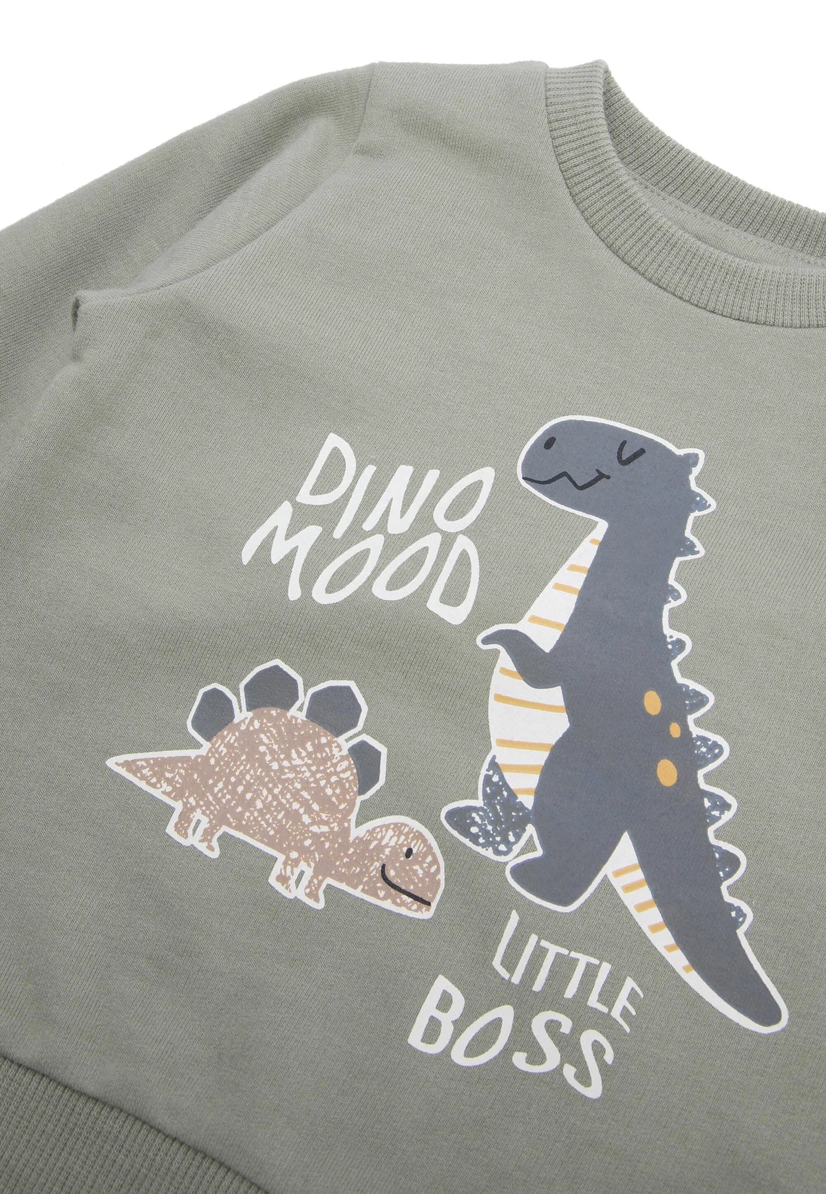 Baby Boys Green Dinosaur Sweatshirt & Joggers Set