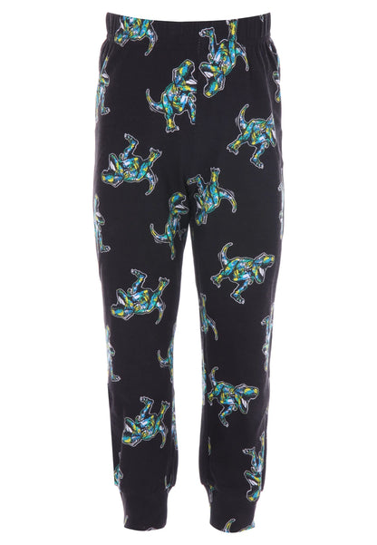 Younger Boys Cotton Dinosaur Long Pyjama Set