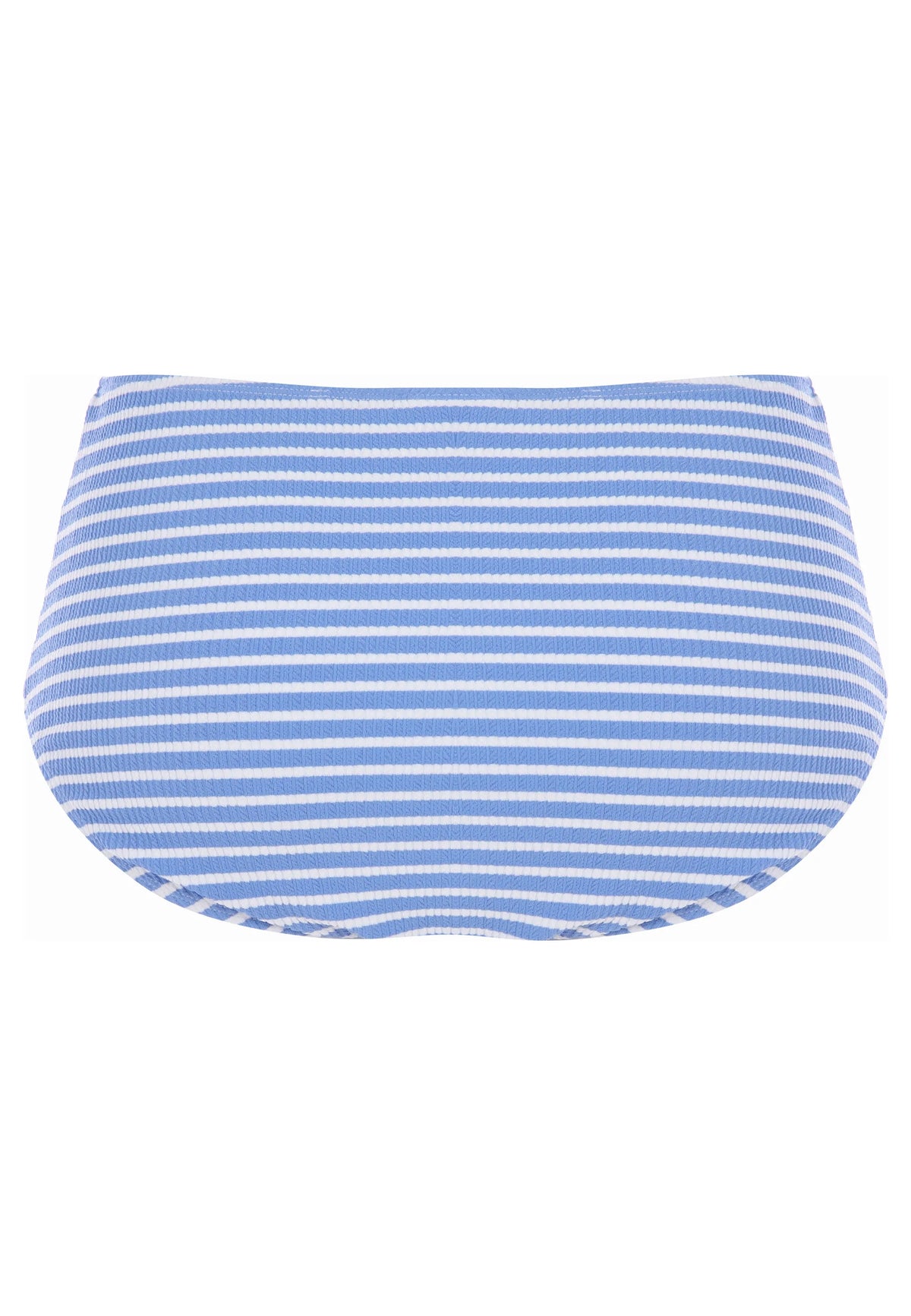 Womens Blue Stripe High Waist Bikini Briefs